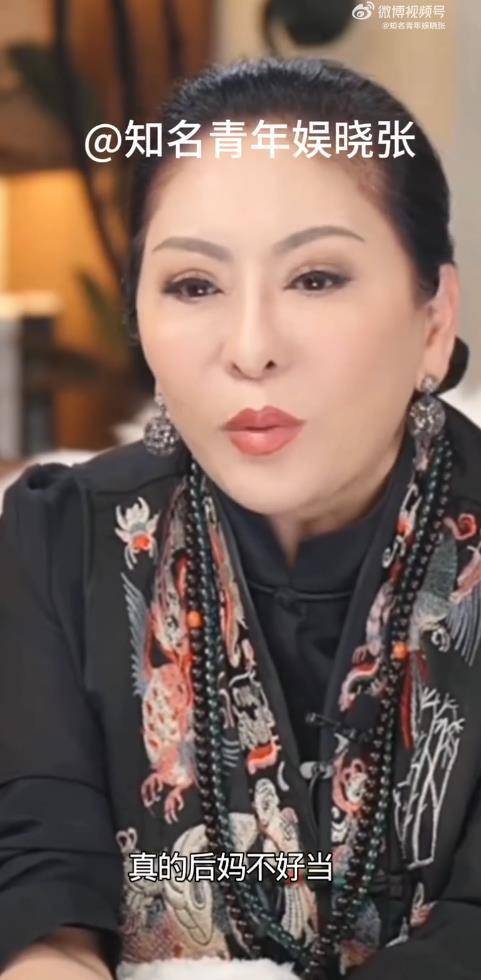 向太陈岚自曝后妈不好当：向华强女儿说我拿烟头烫她