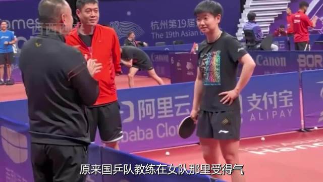 国乒教练组因材施教，女队温柔点拨男队严厉复盘