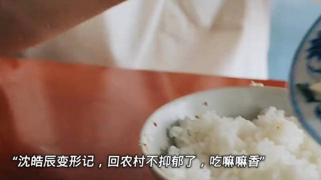 沈皓辰乡下生活改变明显，姥姥厨艺获赞