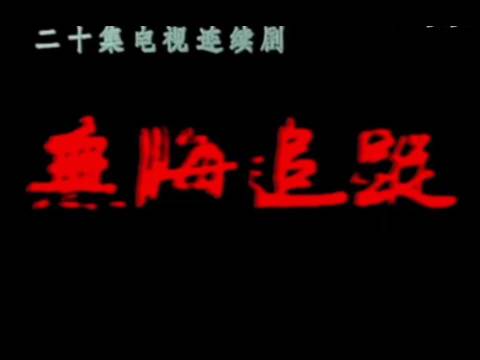 《抓特务》电视剧版《无悔追踪》，你看过吗