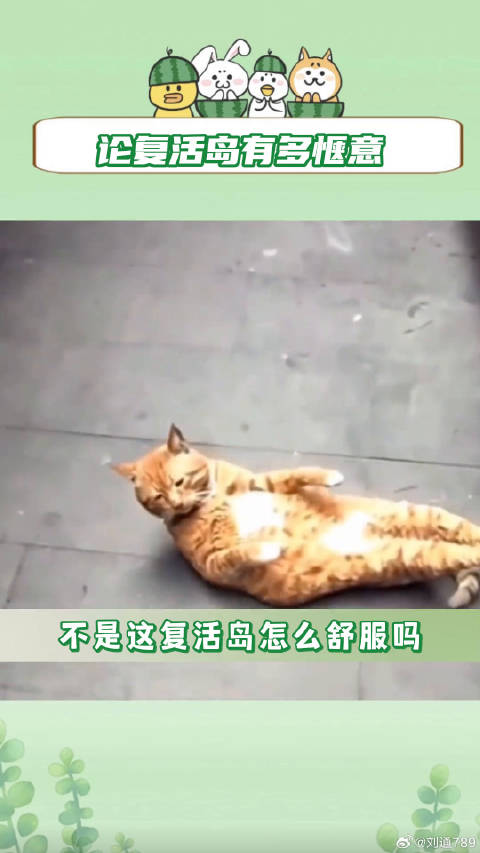 十天之后回到现实 林更新 微博VC计划
