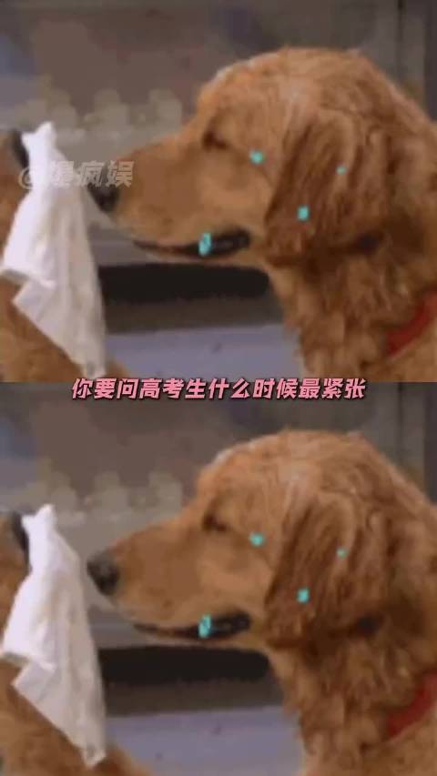 高考成绩的短信像撞大运一样撞到我的脸上！