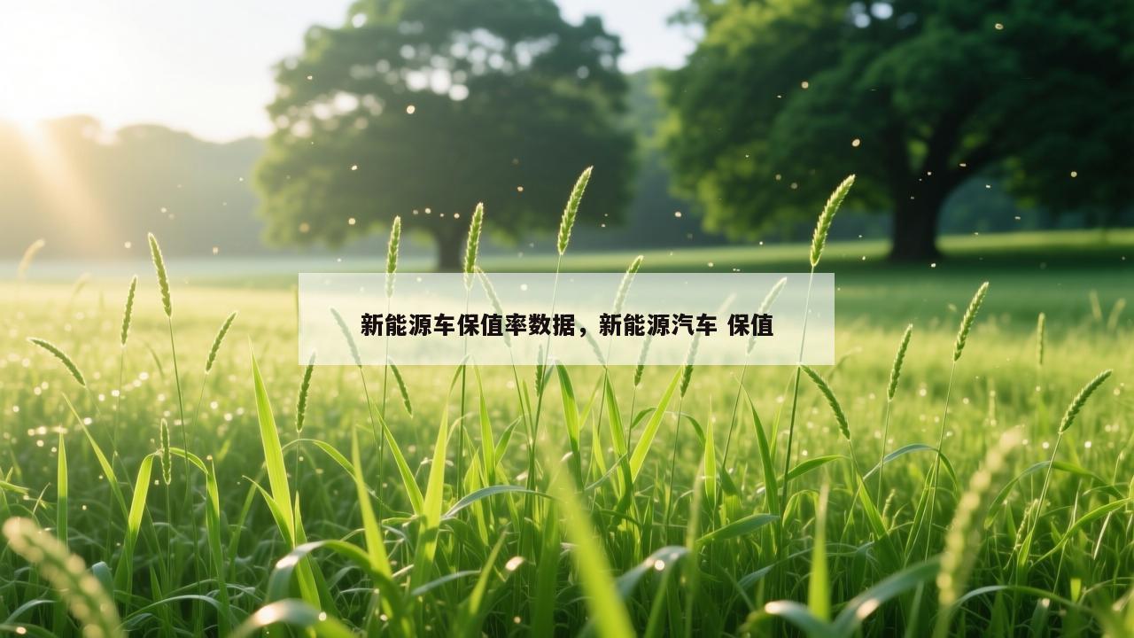 新能源车保值率数据,新能源汽车 保值