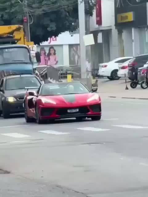 跑车想成为路上最靓的那一个？千万别碰到遛宠物猪的