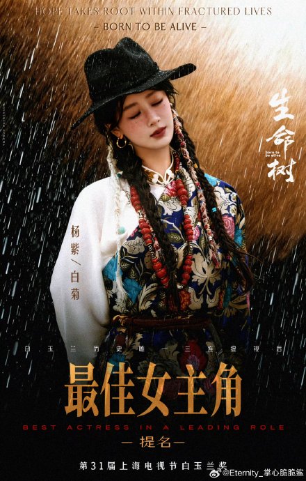 杨紫是白玉兰首个三连提最佳女主的吗
