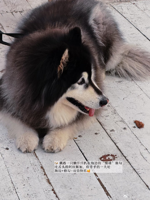 新能源汽车保险为什么比燃油车贵那么多？