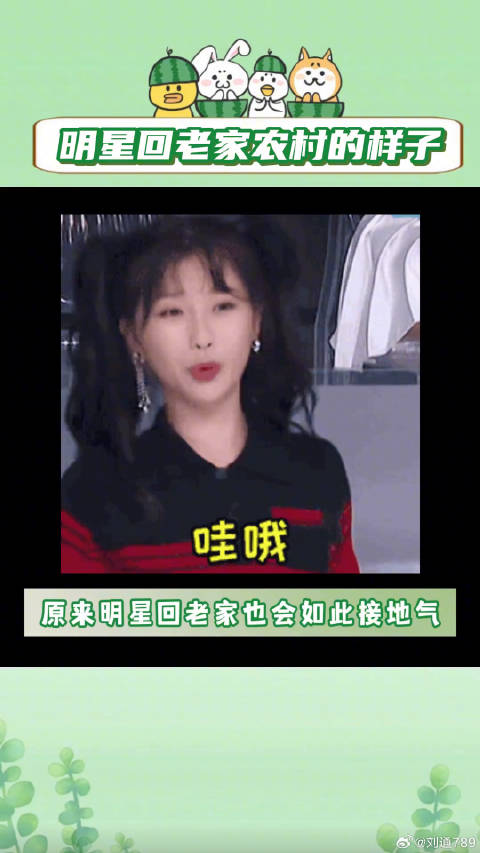 杜海涛 易烊千玺