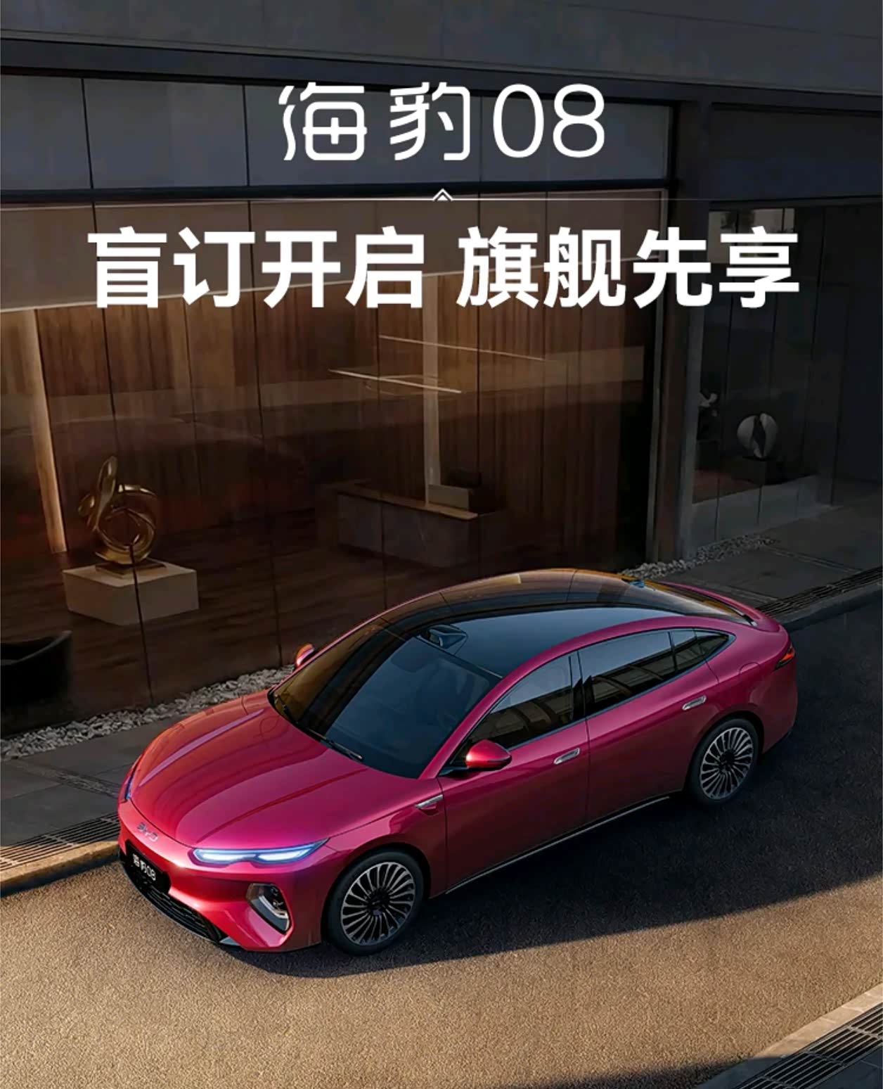 海豹08正式开启盲订,网传25万可拿下!你怎么看?