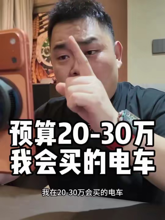 预算20-30万 我会买的四款电车