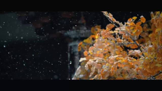 何与《百花杀》演萧华雍茶艺伪装暗藏城府