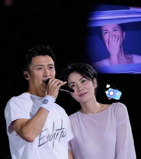 谢霆锋估计很难再结婚了…