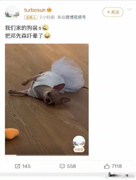 孙俪邓超家这只叫芒果的狗以前也装死吗？