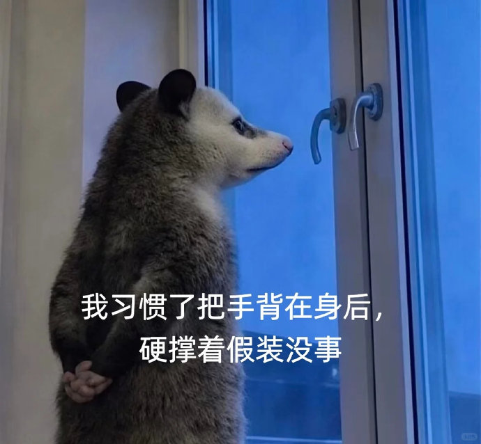 路虎揽胜P400e现在二手行情如何？
