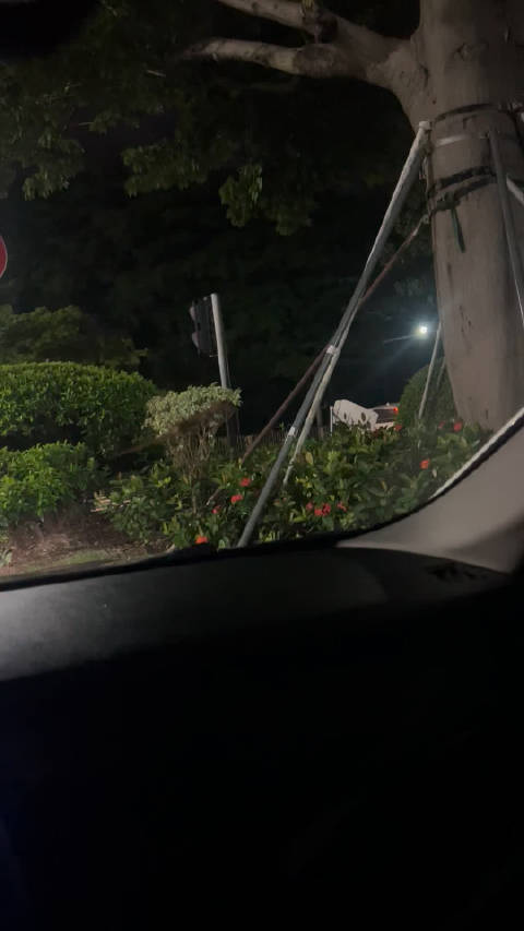 给我送quattro来了