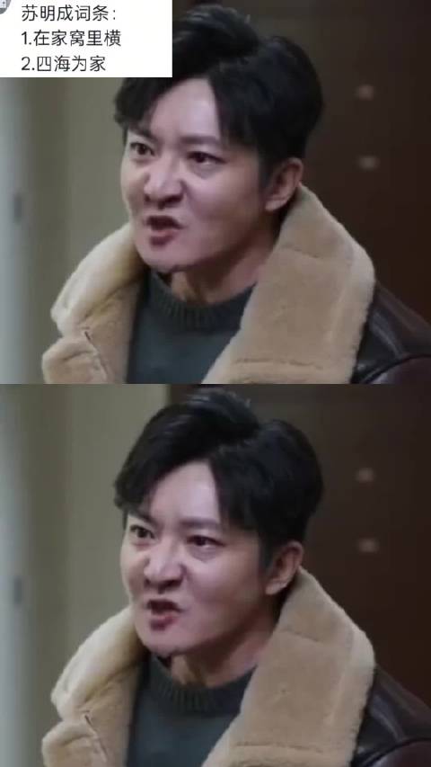 苏明成的人生信条：窝里横但是我四海为家 都挺好 苏明成 苏明玉 苏大强