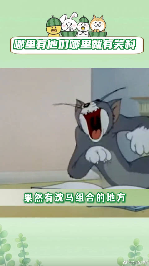 有趣的灵魂 马丽 微博VC计划