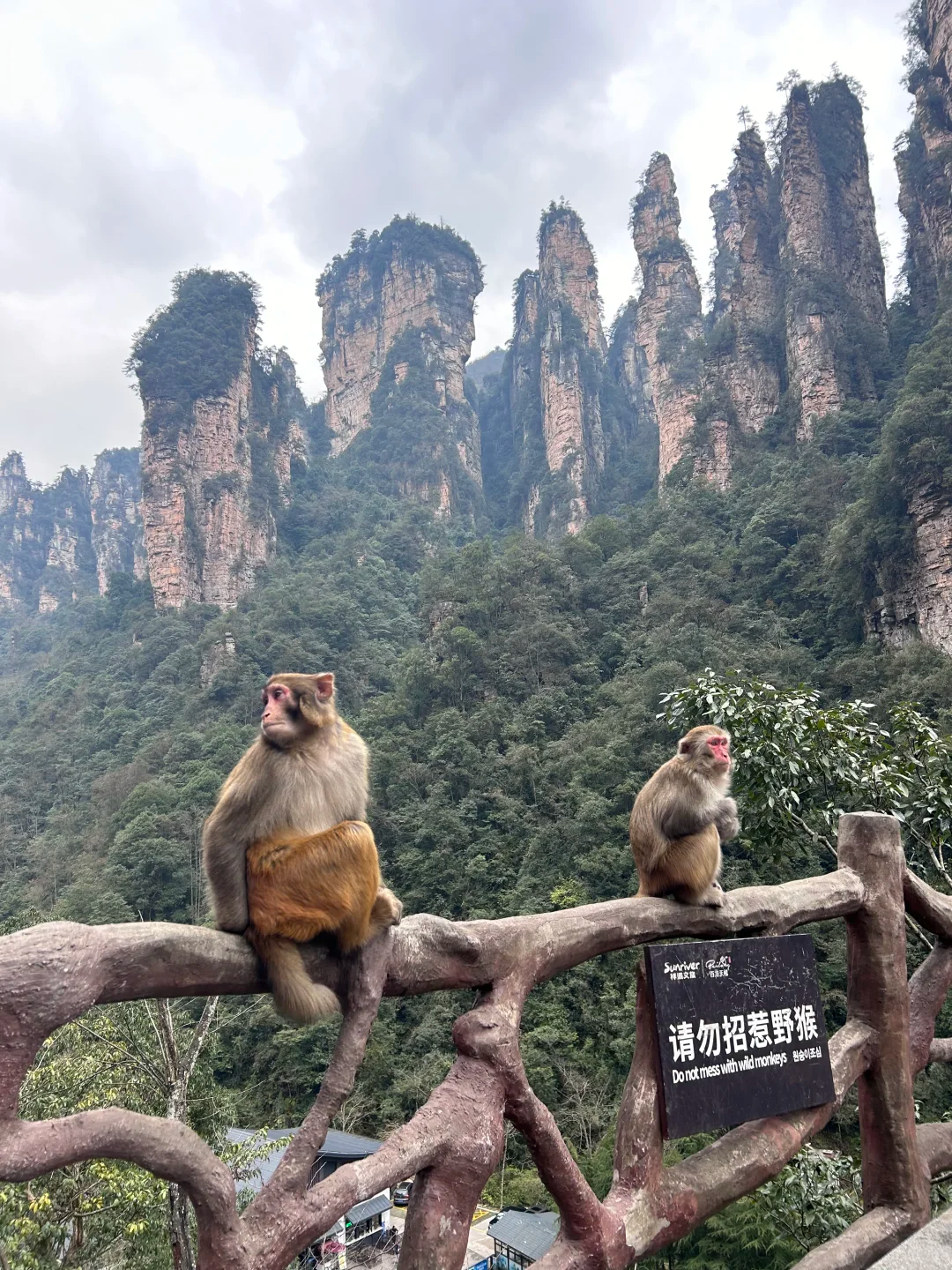 湖南张家界地质科普游5天4晚亲子小团,探秘阿凡达奇幻世界