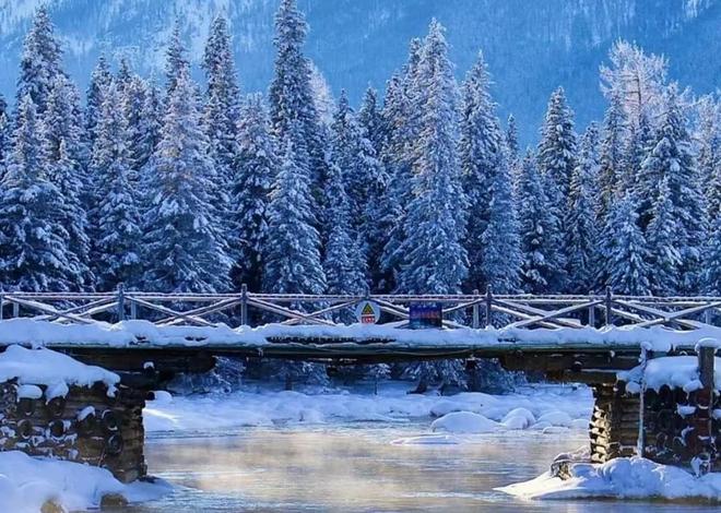 阿勒泰冬季亲子游攻略｜5天冰雪童话之旅，带孩子玩转喀纳斯禾木