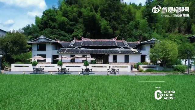 福建德化六月禾苗漫山，成毅歌声伴绿野希望