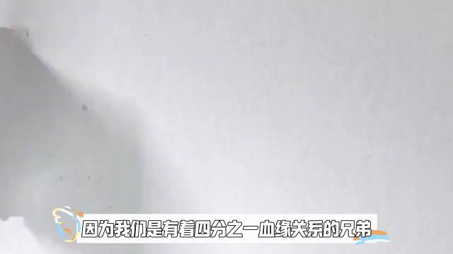 《小欢喜》方一凡林磊儿诠释原生家庭之爱