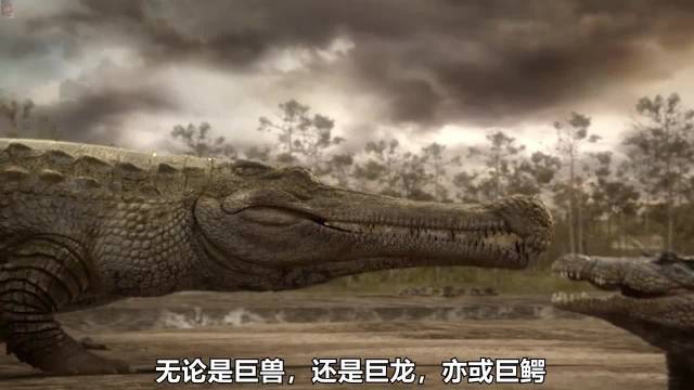 从邓氏鱼、旋齿鲨到巨齿鲨：巨型动物体型上的那些错误 巨齿鲨