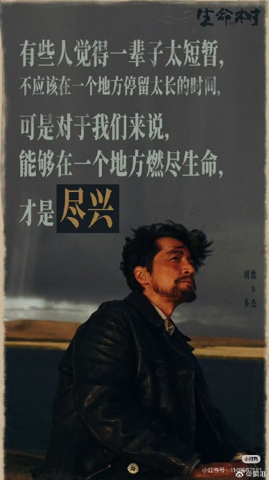 胡歌此次冲击白玉兰三封失败可惜吗？