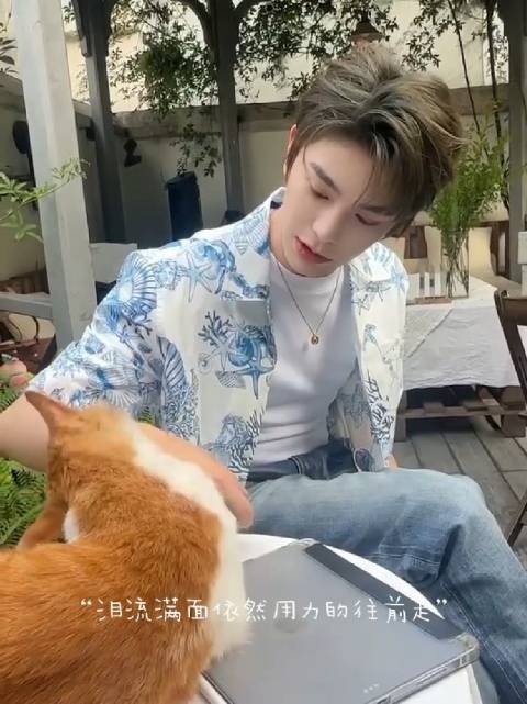 if.白虾在现代养猫