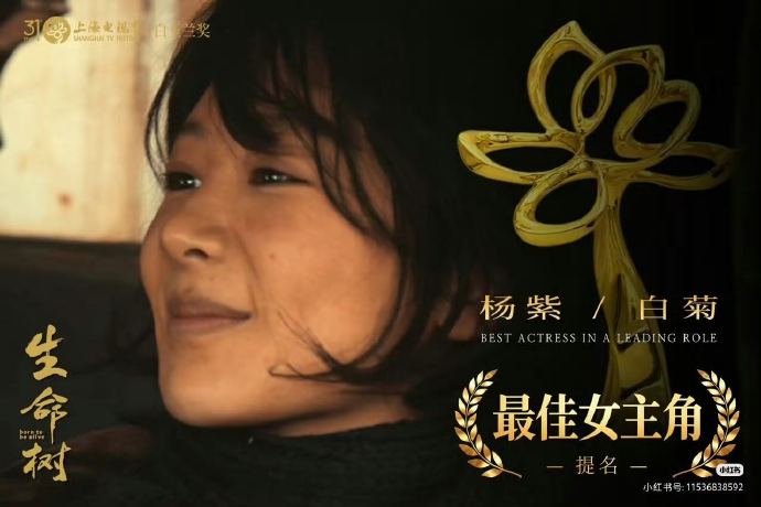 杨紫之前提名白玉兰视后是哪几部作品