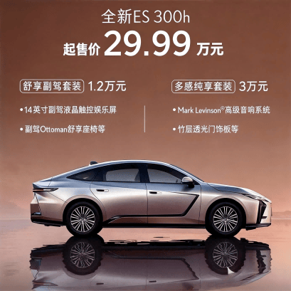 2026款全新一代ES 300h正式上市，驾乘舒适的中大型豪华轿车_雷克萨斯_全系_系统