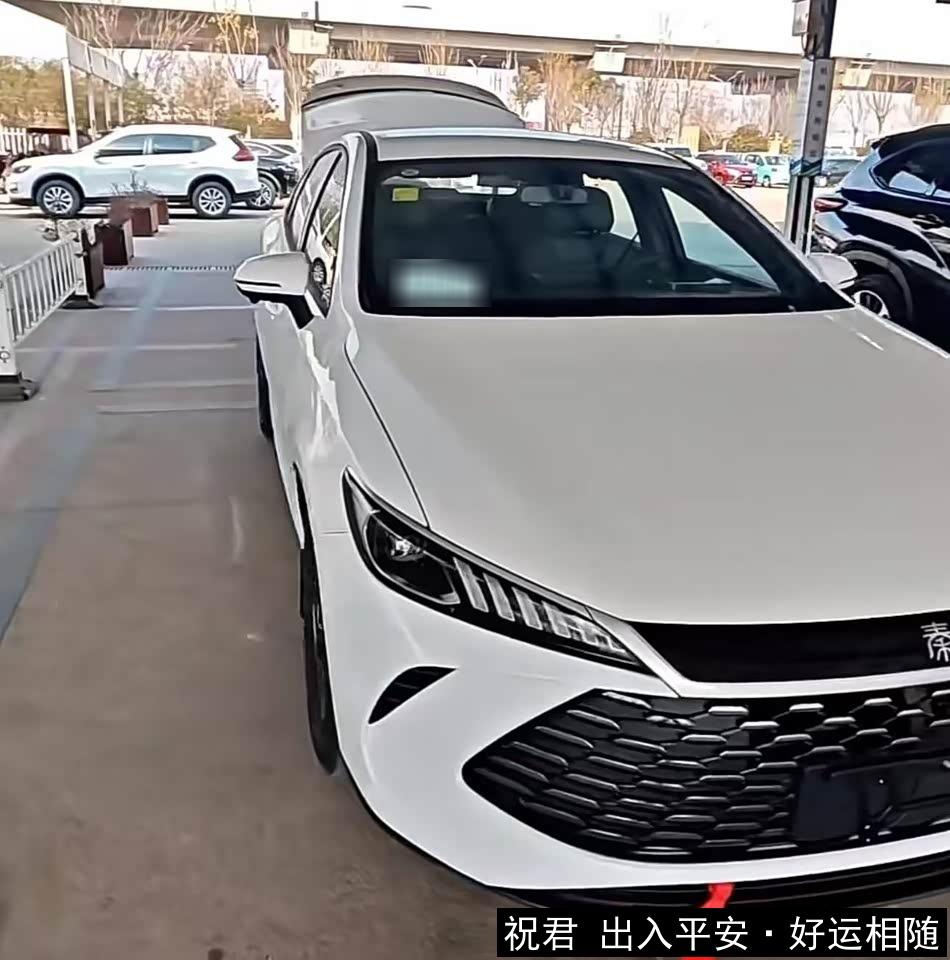 八万八买混动真香?秦PLUS车主三千公里后的掏心话