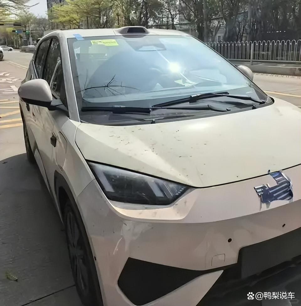 2026款比亚迪海鸥将上市,功率提升+激光雷达,能反超吉利星愿吗