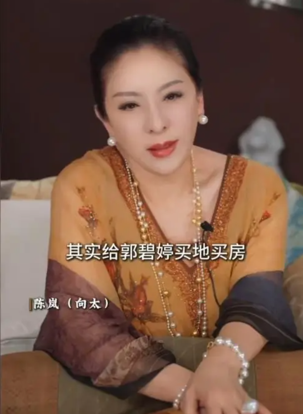 向太赠房郭碧婷背后：豪门话题之下，更应回归家庭本质