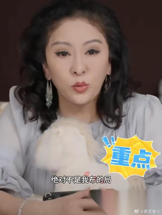 向太否认安排两个儿子合体直播，这是剧本吗？