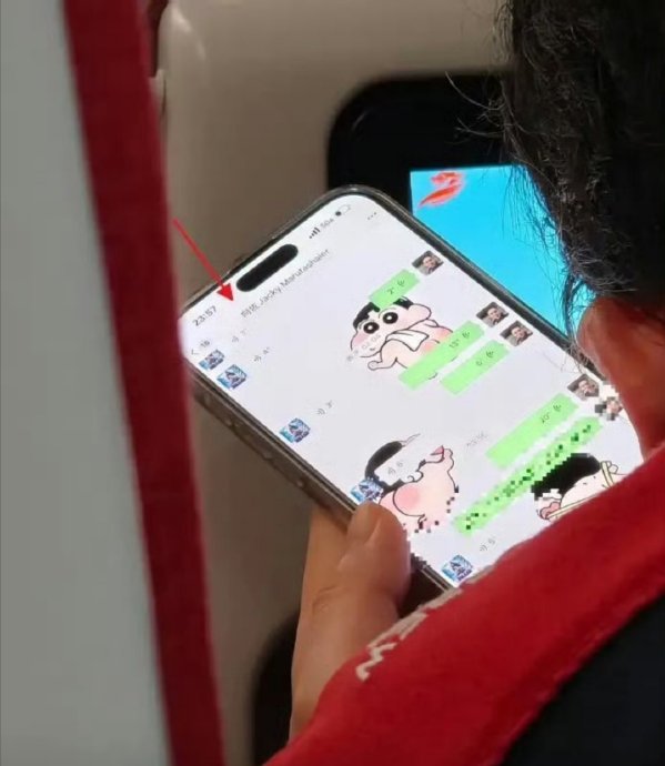 向佐向佑聊天记录曝光，坐实向家关系回暖