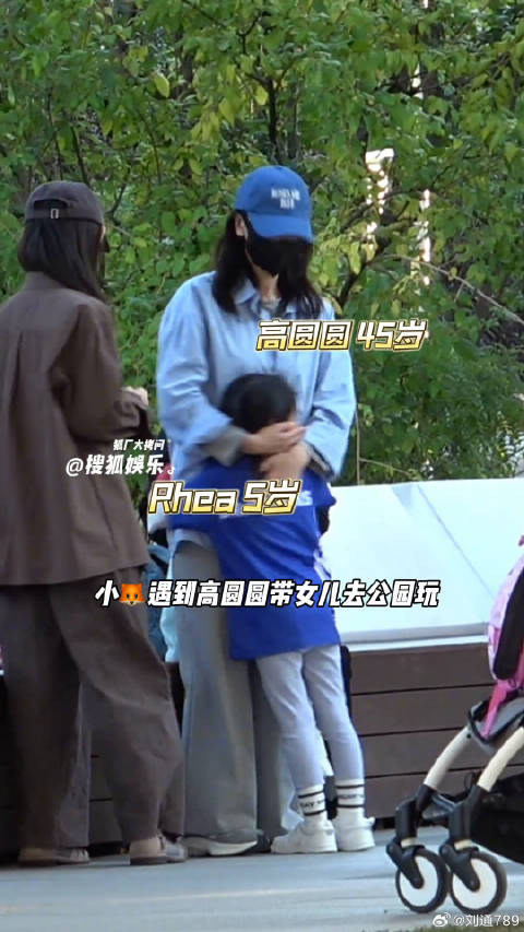 高圆圆 ，爸爸是微博VC计划