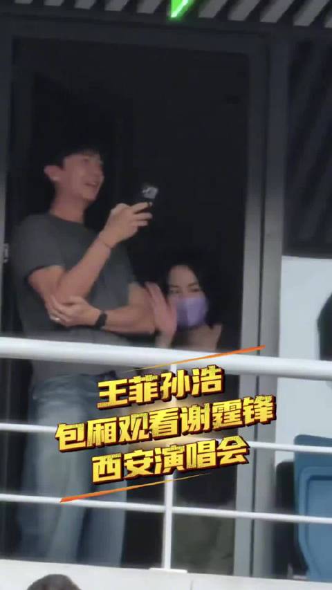 王菲邀请孙浩看谢霆锋演唱会王菲孙浩谢霆锋演唱会同框