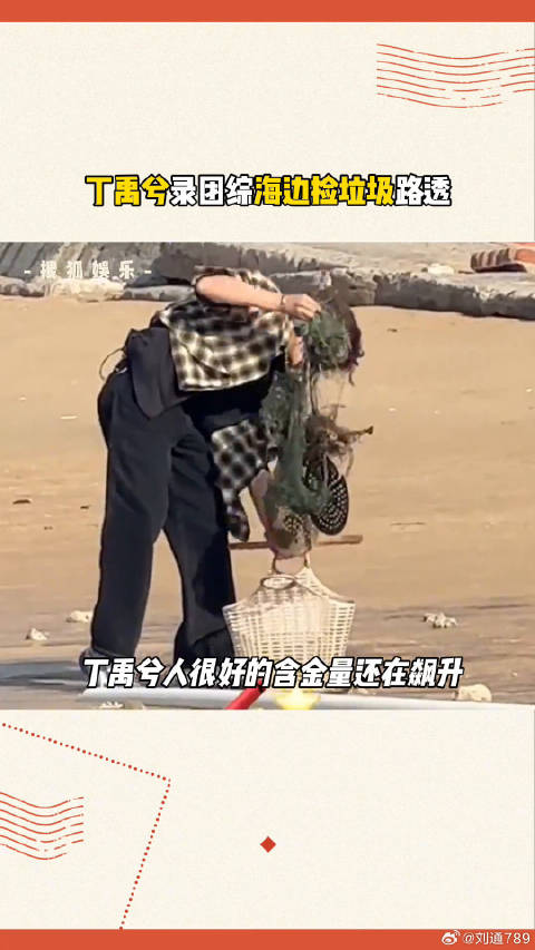 丁禹兮 微博VC计划