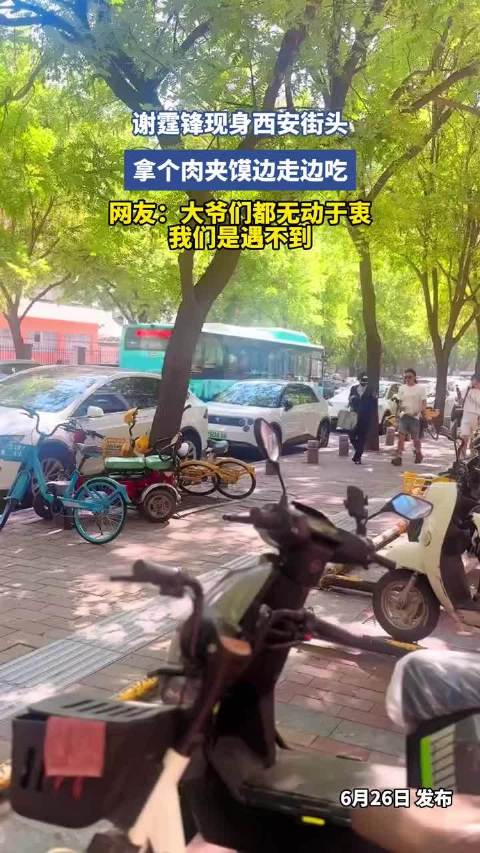 谢霆锋啃肉夹馍，大爷：谢什么锋？ 你大爷就是你大爷