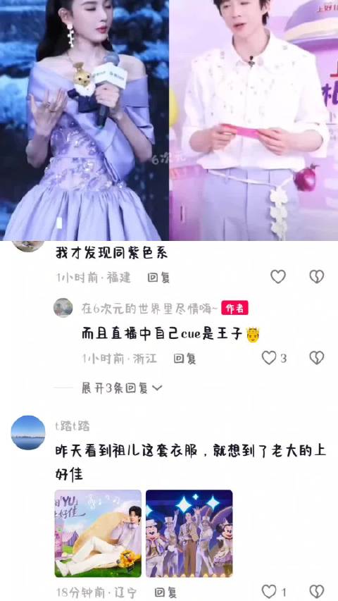 宋宁一只鹅