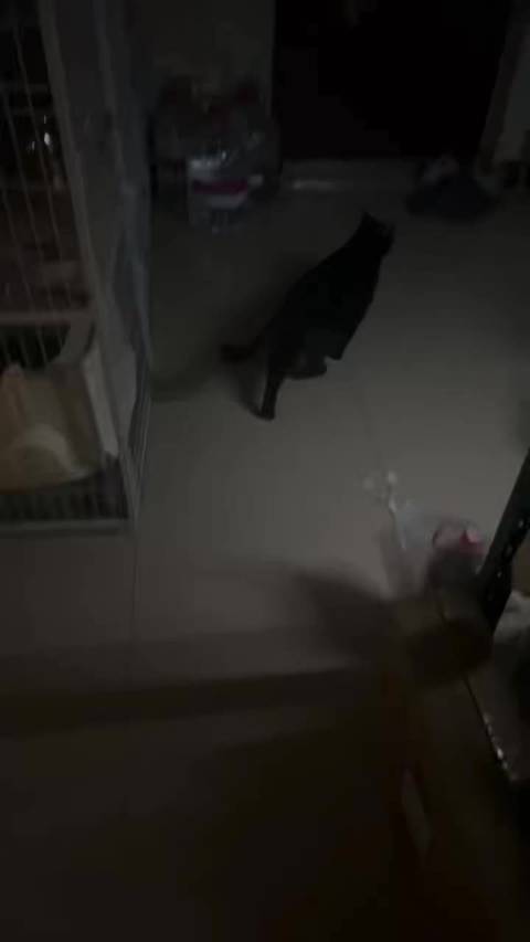 谁特么告诉我，他怎么越狱的？
