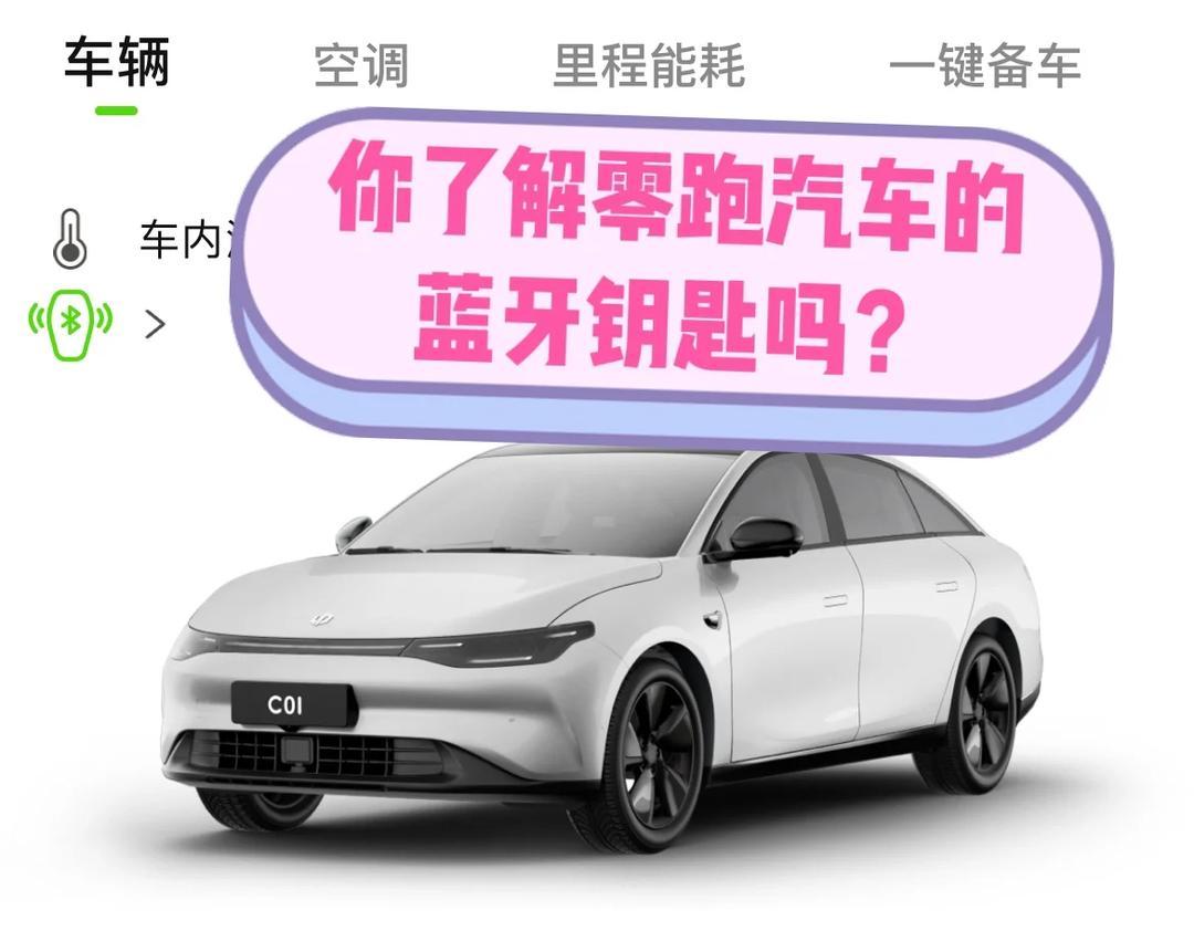 零跑D19销量狂飙背后:1.5万大定车主，正为“半价理想L9”忍受阵痛?_车数解析