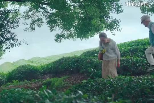 学会接受死亡，是每个人一生的必修课 有朵云像你