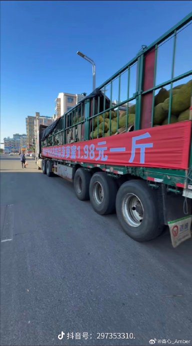 这次哈尔滨追菠萝蜜为什么这么火爆？
