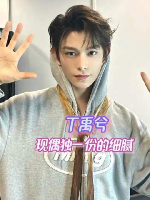丁禹兮，现偶世界早已为你预留席位