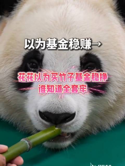大熊猫以为买竹子基金稳挣，谁知道全套牢股民破防瞬间 价值投资 基金日常