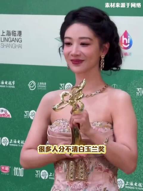 飞天奖为官方标杆，白玉兰认证演技，金鹰奖代表全民口碑