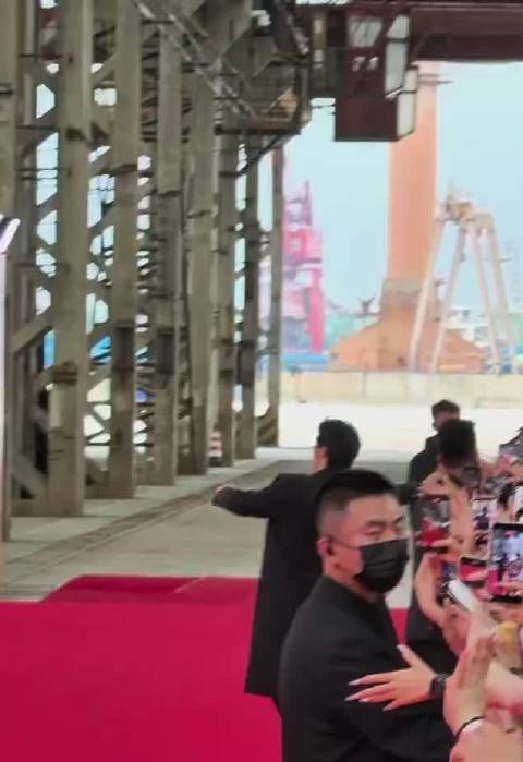 许魏洲红毯踉跄后微笑招手