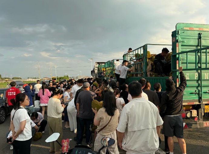 哈尔滨全城追菠萝蜜，竟比海鲜还疯狂