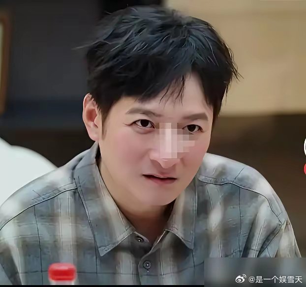 李维嘉正面回应热梗，和李静观点针锋相对