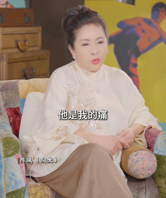 向佑之前入狱的具体原因是什么？